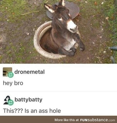 Ass hole