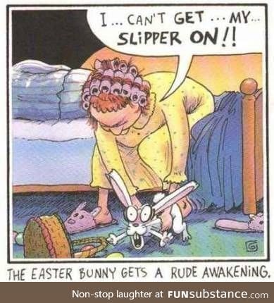 Bunny slippers