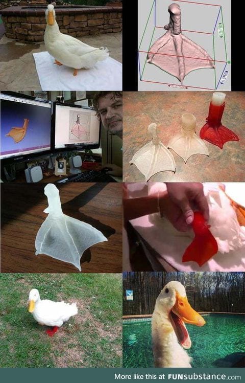 Prosthetic leg solution for a lucky duck