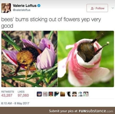 Bees