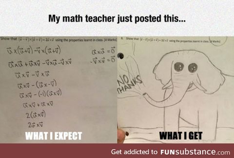 Be a math teacher they said
