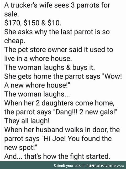 Parrots are assholes