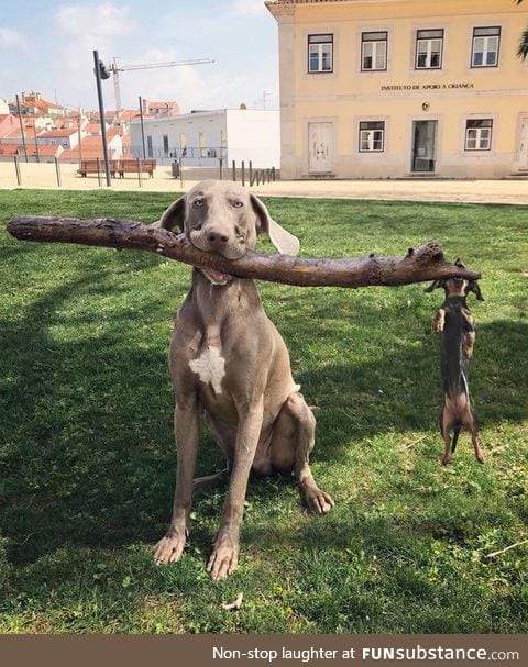 "found it!"