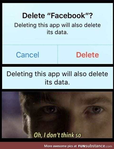 Succ my Zucc