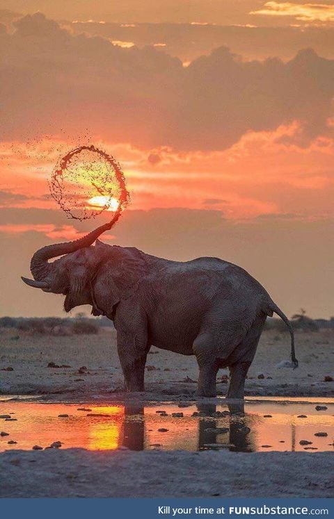 Damn nature you beautiful