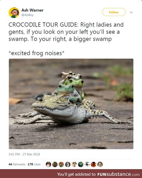 Gator tour