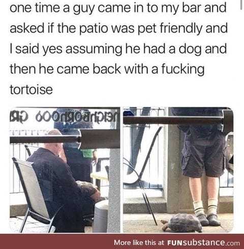 Unusual pet