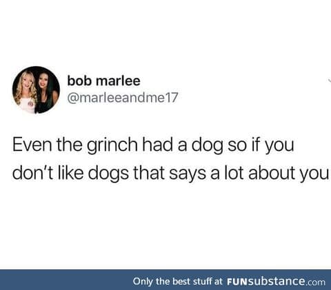 Everyone must like dogs