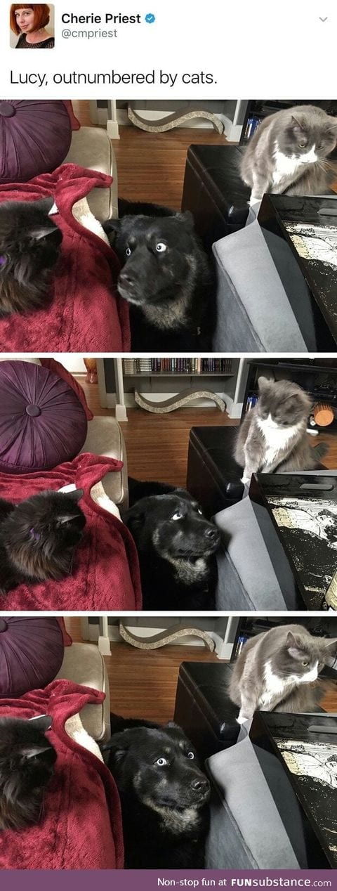 "Help"