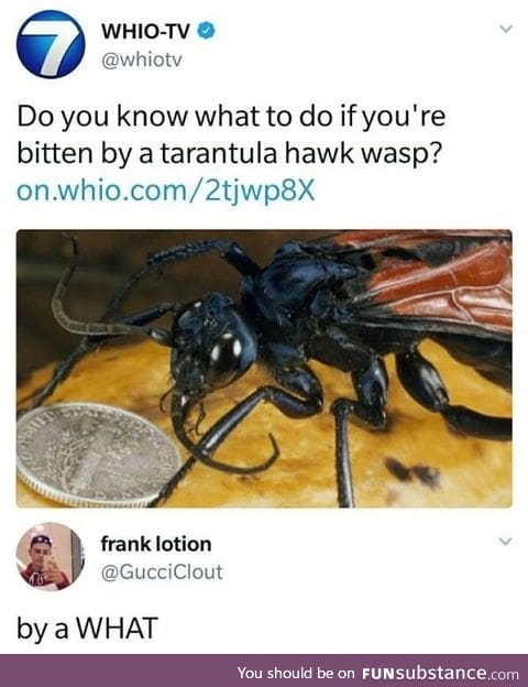 Lay down and die