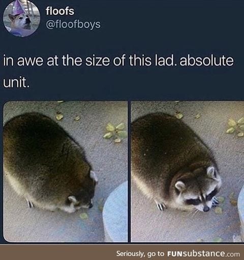 Big guy