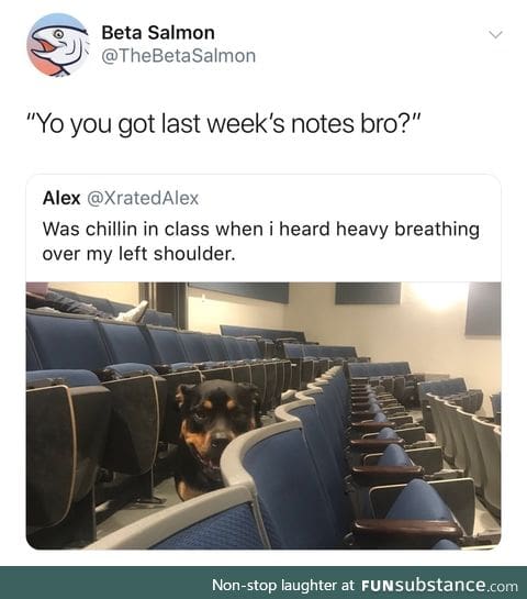 You got any homework to eat?