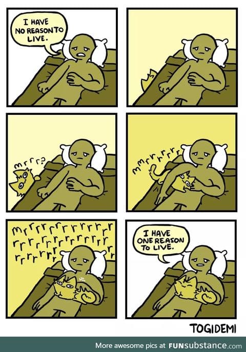 Cats are good