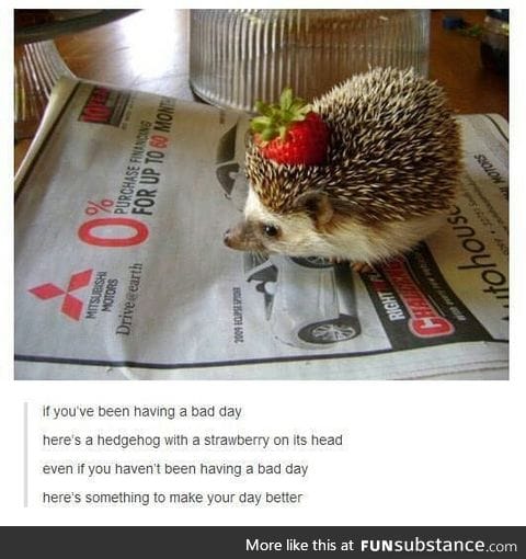 Spiky floof