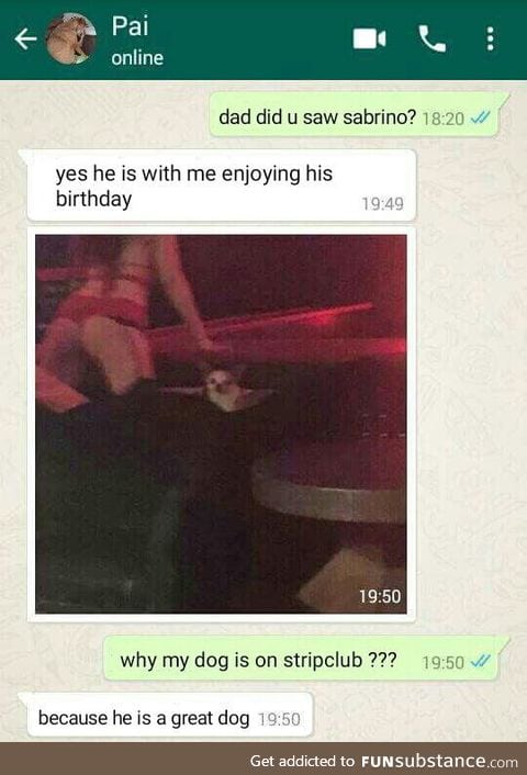 Good boy