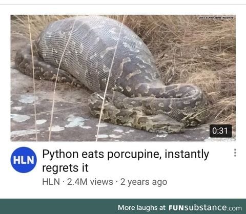 Porcupines make bad food