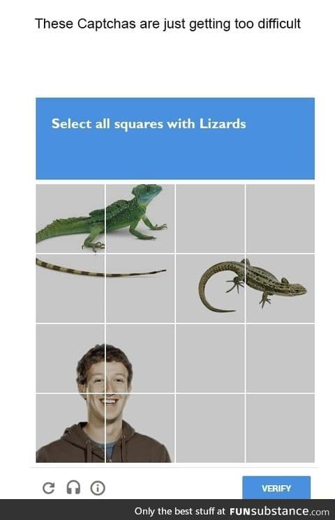 Select all squares with lizards