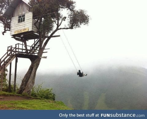 Treehouse swing in Ecuador