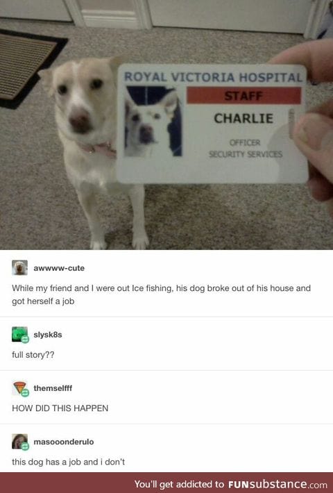 She protec