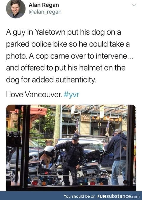 Pets bond people