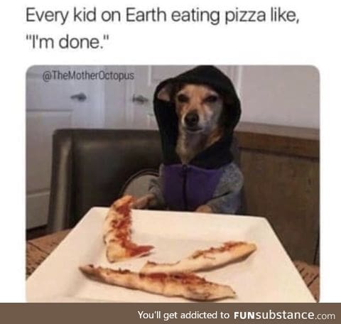 That dog has such a smug look on him too