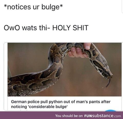 OwO