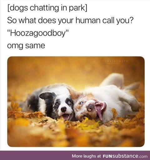Hoozagoodboy