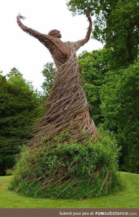 A living Willow Statue in a walled garden in Scotland