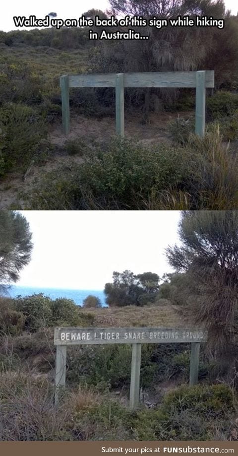 Meanwhile in Australia