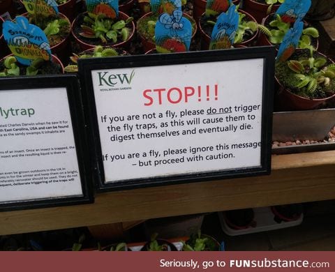 This sign in front of a bunch of Venus Flytrap