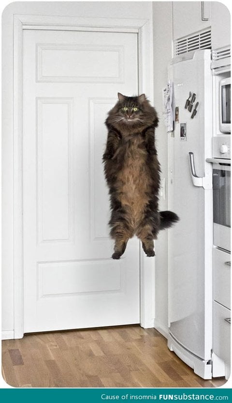 Nothing to see here human, keep scrolling