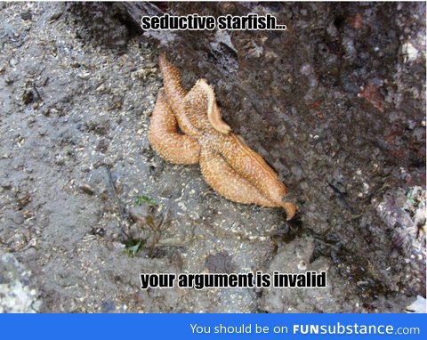 Fabulous starfish