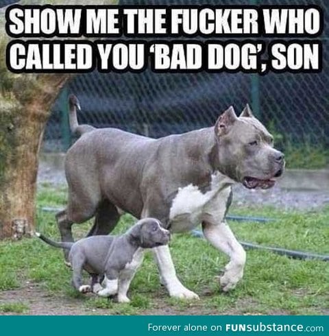Show me that f*cker son