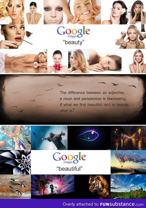 Adjective vs noun