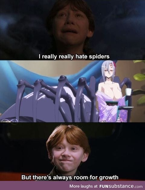 Spiders