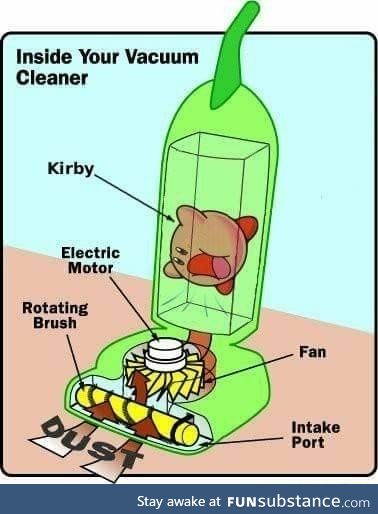Inside your vacuum cleaner