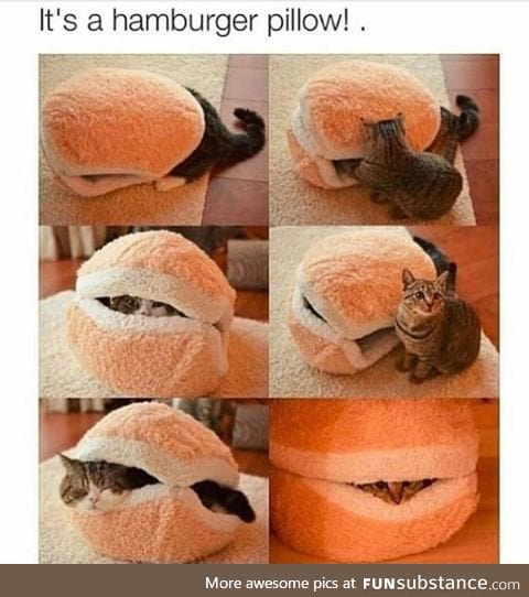 Hamburger pillow