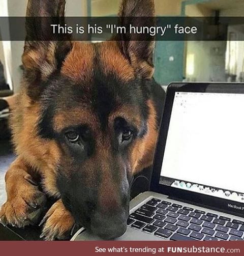 Hungry face