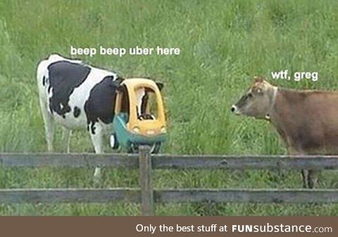 Wtf greg