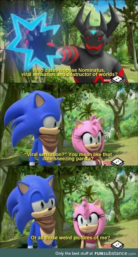 Sonic knows the internet is crazy