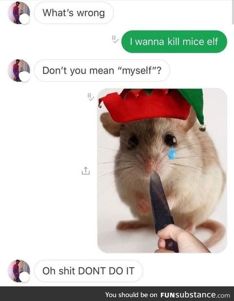 Kill mice elf