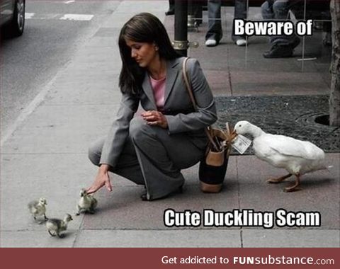 "quack quack, b**ch!"