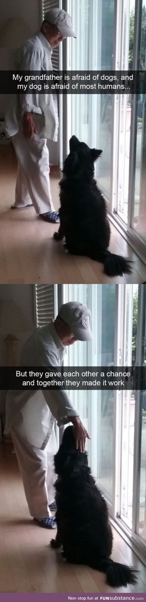 Unexpected friendship