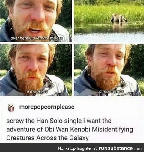This isn't the moose you're looking for