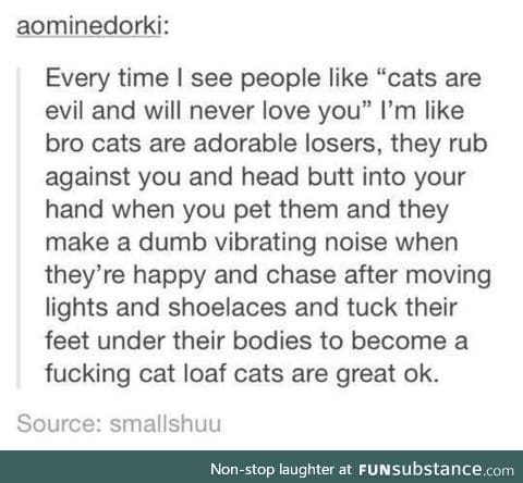 Cute idiots