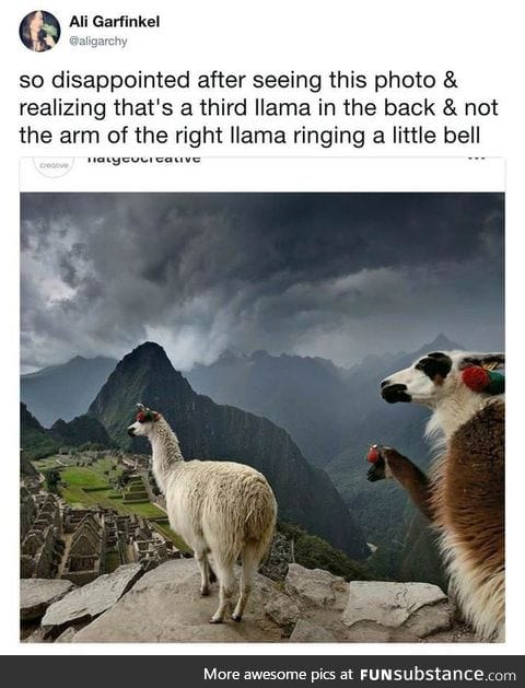 Llama
