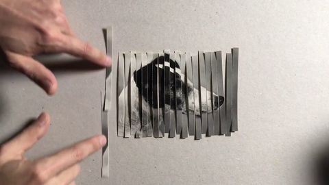 Cool effect when shredding photos
