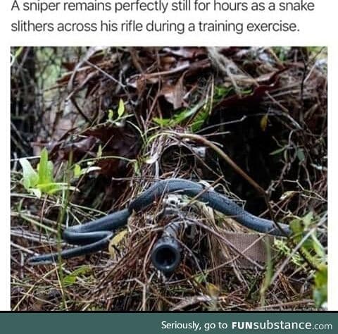 A professinal sniper