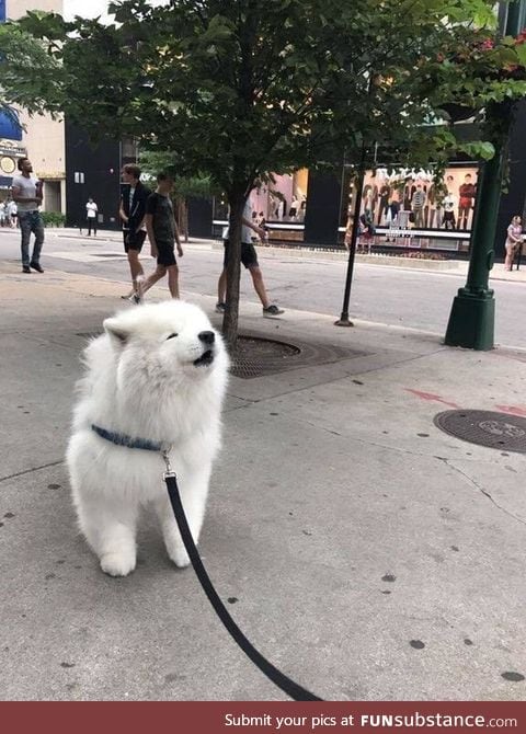 smol cloud boye does an a w o o