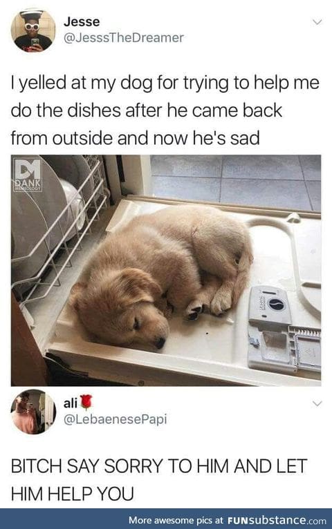 Apologise!